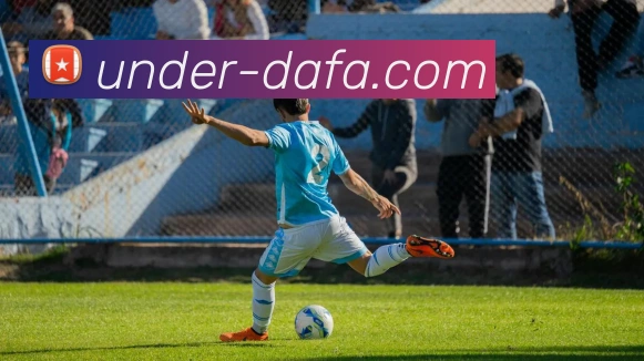 大发官网平台生态图